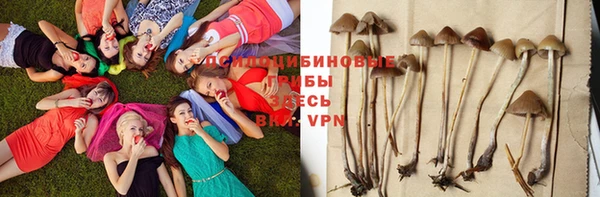 круглые Аркадак
