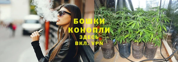 винт Арсеньев