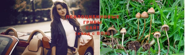 винт Арсеньев